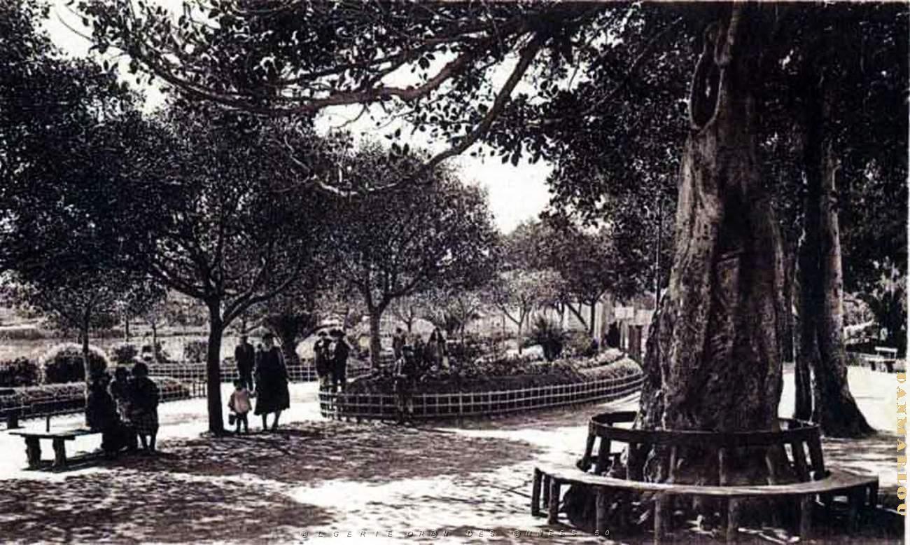 CN ea- 013- Petit Vichy.jpg